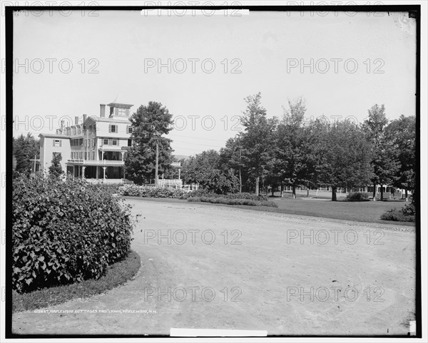 Maplewood House cottages and lawn, Maplewood, N.H., between 1900 and 1915. Creator: Unknown.