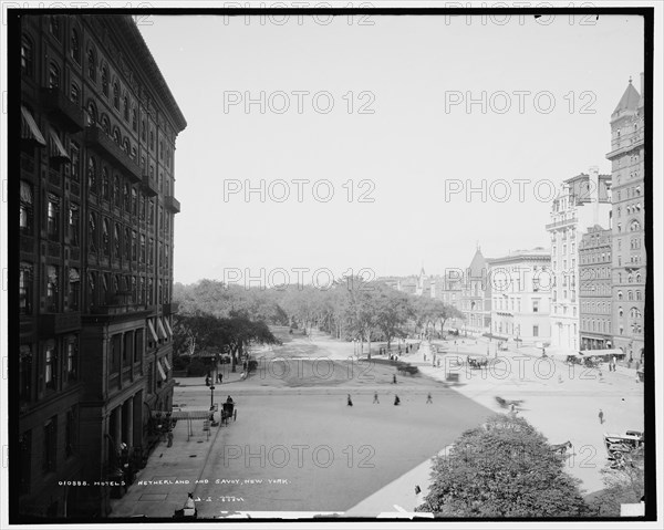 Hotels Netherland and Savoy, New York, c1905. Creator: Unknown.