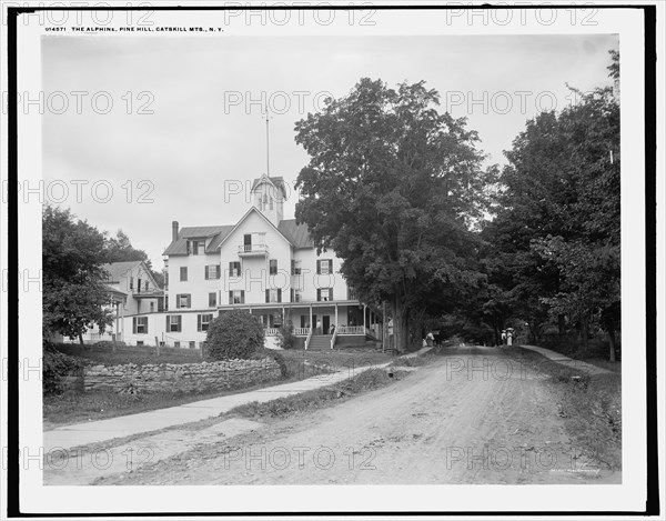 The Alphine i.e. Alpine, Pine Hill, Catskill Mts., N.Y., (1902?). Creator: Unknown.