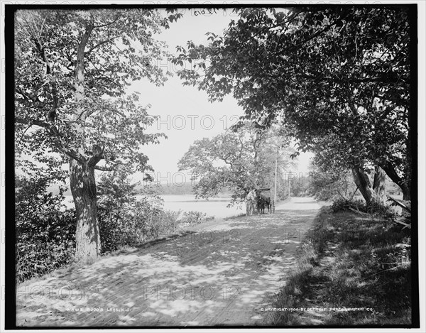 Budd's Lake, N.J., c1900. Creator: Unknown.