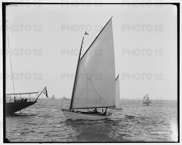 Lance, between 1880 and 1899. Creator: Unknown.