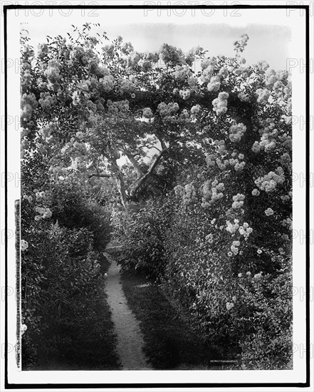 Old fashioned gardens, Lawson estate, Dreamwold, Egypt, Mass., between 1900 and 1920. Creator: Unknown.