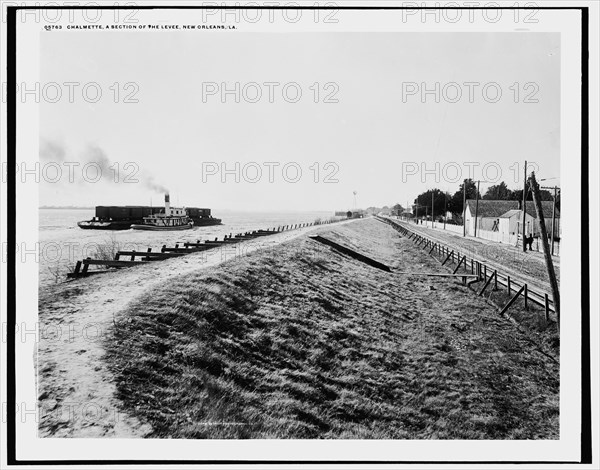 Chalmette, a section of the levee, New Orleans, La., c.between 1890 and 1901. Creator: Unknown.