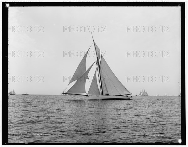 Mayflower, 1888 Aug 10. Creator: Unknown.