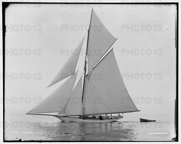 Mildred, between 1890 and 1899. Creator: Unknown.