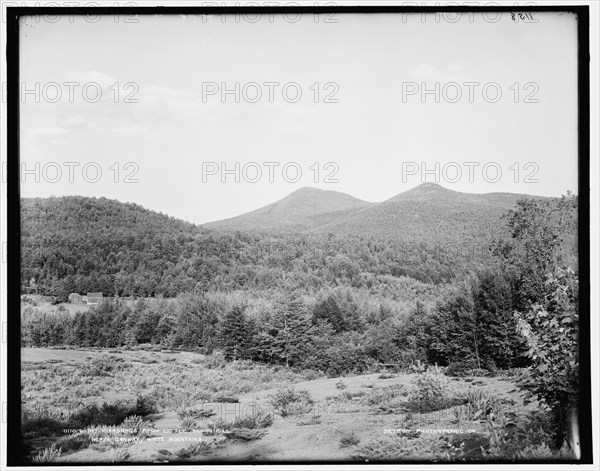 Mt. Kiarsarge i.e. Mount Kearsarge from Little Thorn Hill, North Conway, White Mountains, c1890-1901 Creator: Unknown.