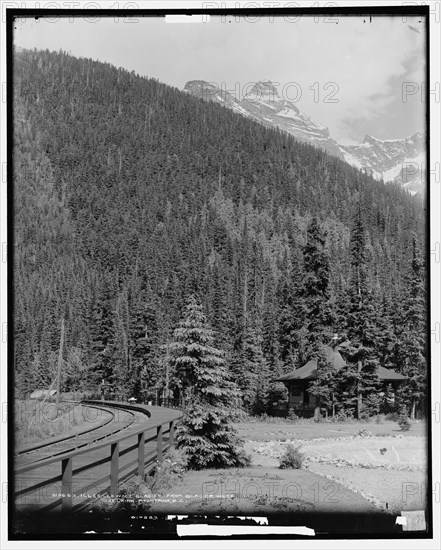 Illecillewaet Glacier from Glacier House, Selkirk Mountains, B.C., c.between 1901 and 1906. Creator: Unknown.