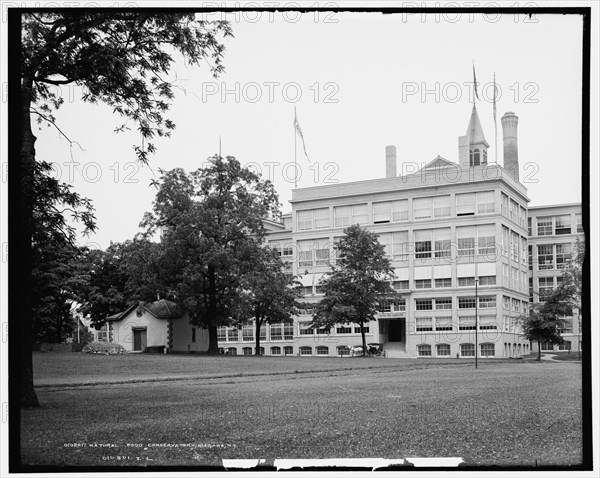 Natural Food Conservatory, Niagara, N.Y., c1904. Creator: Unknown.