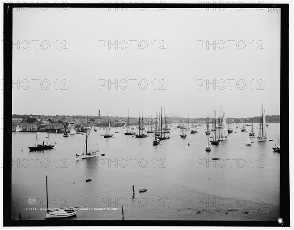 N.Y.Y.C. fleet, Newport harbor, 1888 Aug 10. Creator: Unknown.