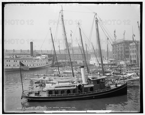 Oyster luggers at the docks, Baltimore, Md., c1905. Creator: Unknown.