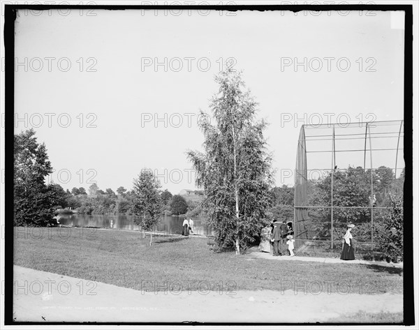 Aviary and lake, Seneca Park, Rochester, N.Y., between 1900 and 1906. Creator: Unknown.