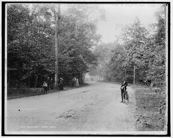 Belle Isle Park, Forest Drive, between 1880 and 1899. Creator: Unknown.