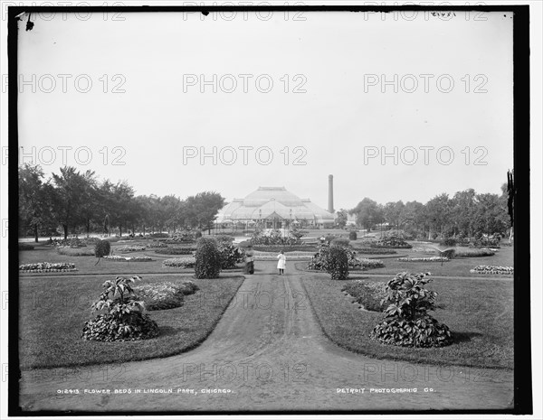 Flower beds in Lincoln Park, Chicago, 1900. Creator: Unknown.