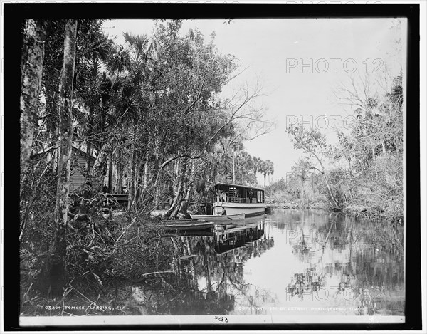 Tomoka landing, Fla., c1900. Creator: Unknown.