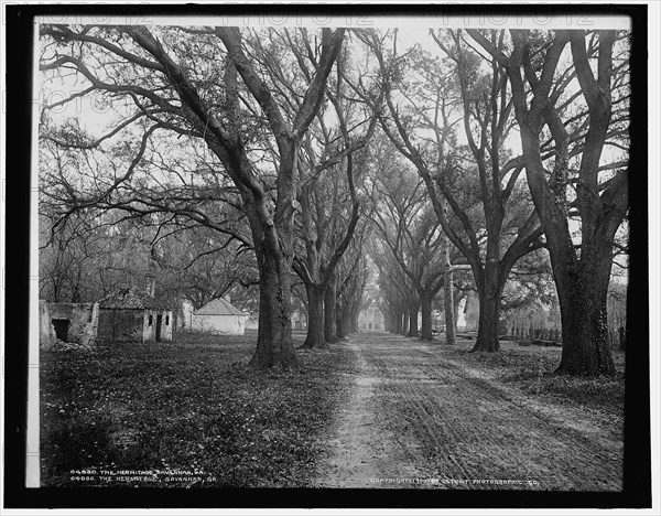 The Hermitage, Savannah, Ga., c1900. Creator: Unknown.