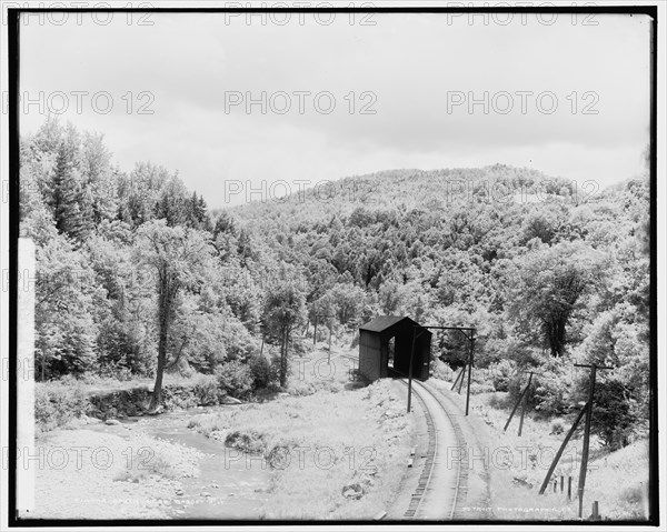 South near Gasset's i.e. Gassetts, Vt., between 1900 and 1906. Creator: Unknown.