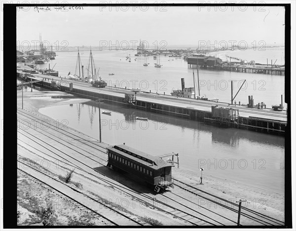 The Harbor, San Pedro, California, between 1880 and 1899. Creator: Unknown.