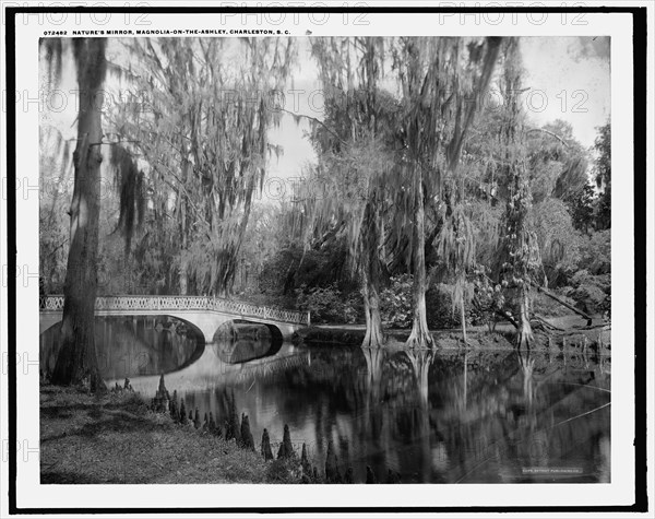 Nature's mirror, Magnolia-on-the-Ashley, Magnolia Gardens, Charleston, S.C., between 1910 and 1920. Creator: Unknown.