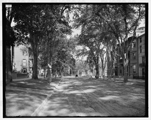 State Street, looking toward Longfellow monument, Portland, Me., between 1900 and 1915. Creator: Unknown.