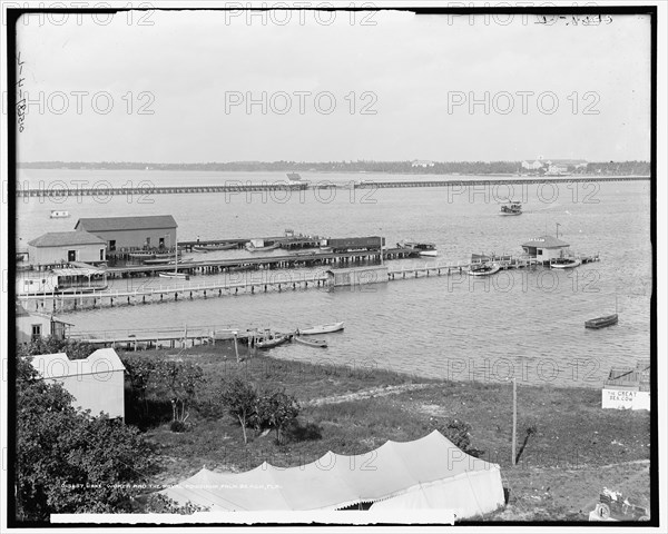 Lake Worth and the Royal Poinciana, Palm Beach, Fla., between 1900 and 1915. Creator: Unknown.