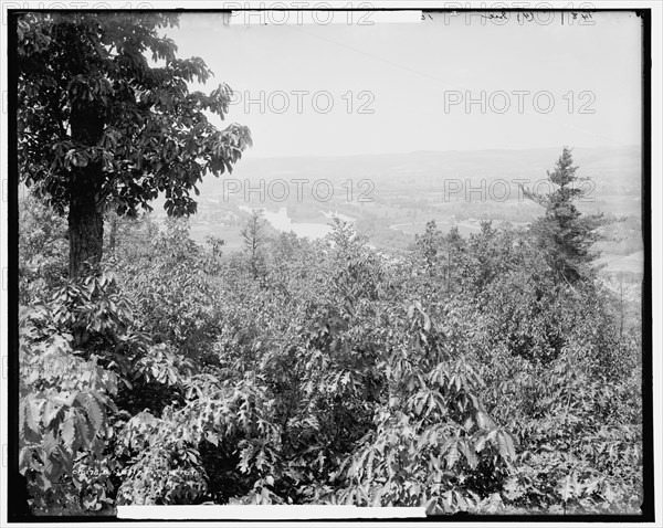 Binghamton, N.Y., c1900. Creator: Unknown.