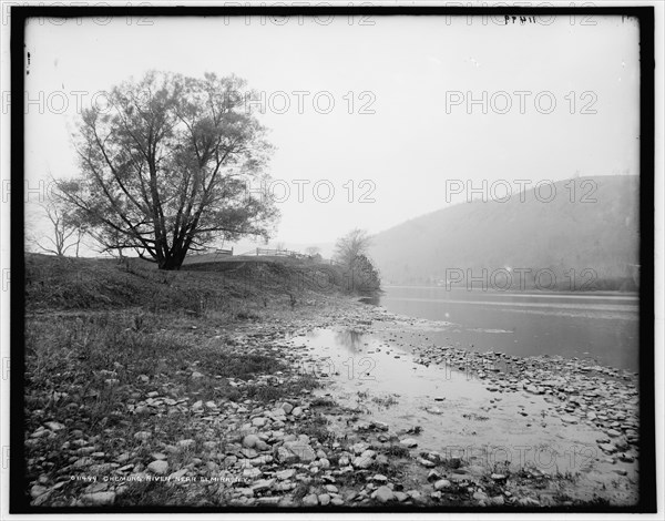 Chemung River near Elmira, N.Y., c1900. Creator: Unknown.