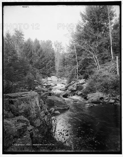 Quarry pool, Paradise Creek, Pa., c1900. Creator: Unknown.