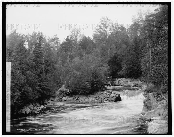 Gorge below Belden's Falls, Green Mountains, between 1900 and 1906. Creator: Unknown.