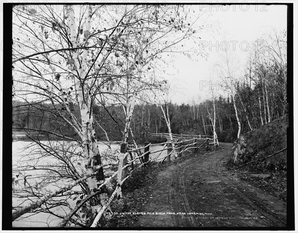 On the eleven mile Birch Drive near Ispeming [sic], Mich., c1898. Creator: Unknown.