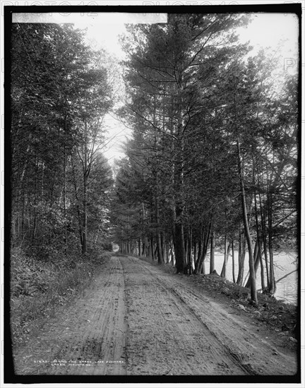 Along the shore, Lake Dunmore, Green Mountains, between 1900 and 1906. Creator: Unknown.