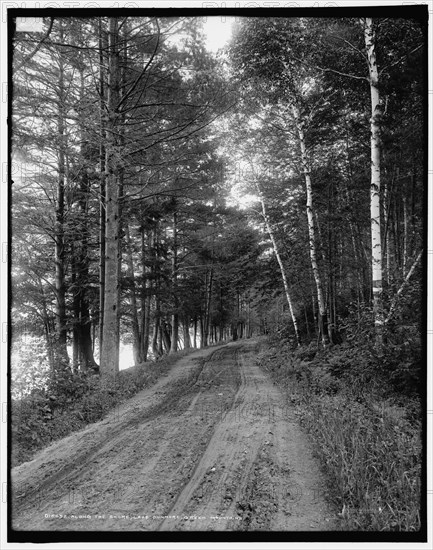 Along the shore, Lake Dunmore, Green Mountains, between 1900 and 1906. Creator: Unknown.