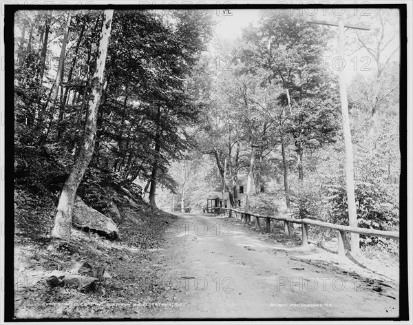 Schooley's Mtn., road from Hackettstown, N.J., between 1890 and 1901. Creator: Unknown.