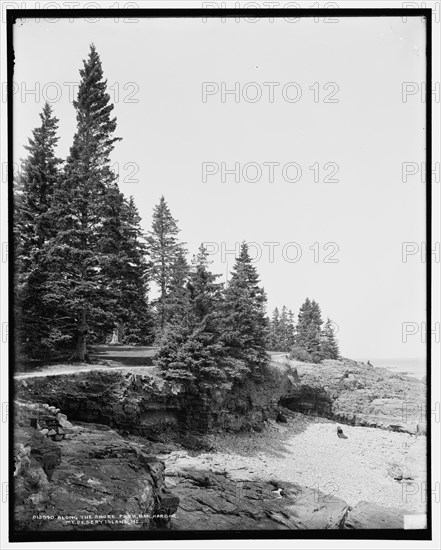 Along the shore path, Bar Harbor, Mt. i.e. Mount Desert Island, Me., c1900. Creator: Unknown.