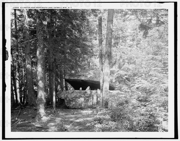 Alligator Head near South Lake, Catskill Mts., N.Y., c1902. Creator: Unknown.