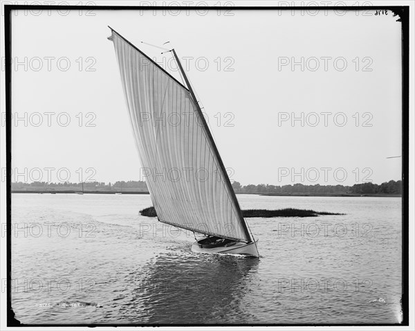 Rocket, between 1880 and 1899. Creator: Unknown.