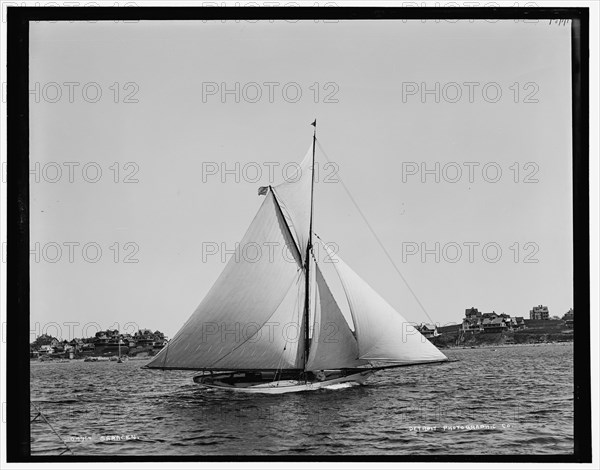 Saracen, between 1888 and 1899. Creator: Unknown.