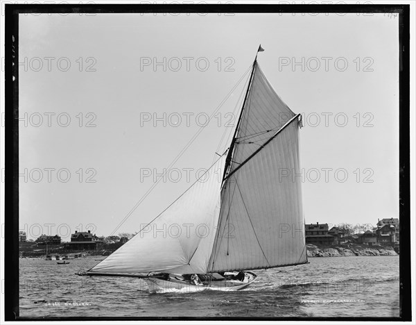 Saracen, between 1888 and 1899. Creator: Unknown.