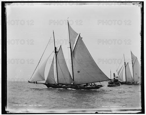 Sea Fox, 1889 July 15. Creator: Unknown.