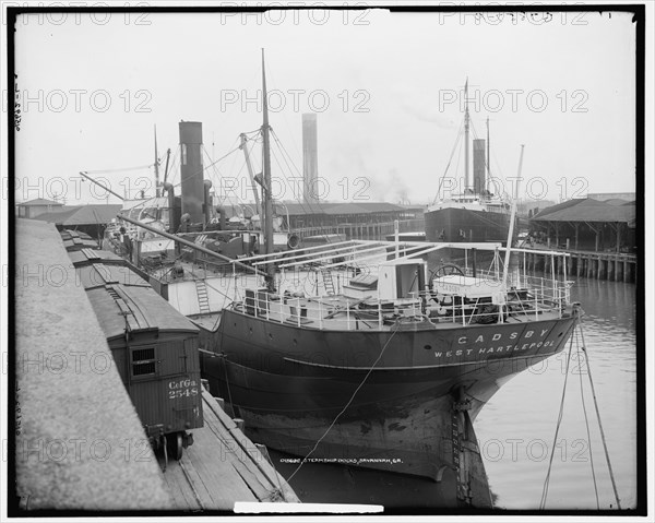 Steamship docks, Savannah, Ga., between 1900 and 1915. Creator: Unknown.