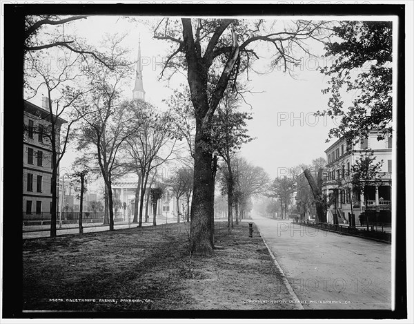 Oglethorpe Avenue, Savannah, Ga., c1900. Creator: Unknown.