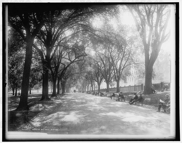 Beacon St. mall, Boston, c1899. Creator: Unknown.