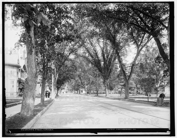 State Street, Ithaca, N.Y., between 1900 and 1906. Creator: Unknown.