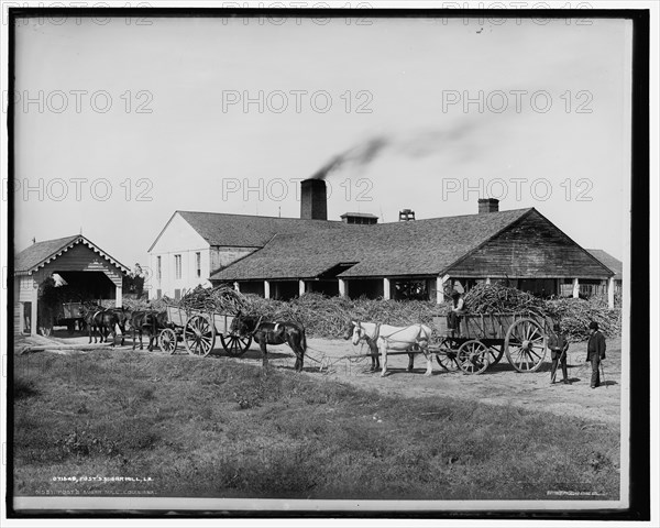 Post's sugar mill, La., c.between 1900 and 1905. Creator: Unknown.