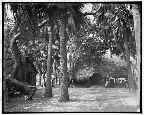 Alligator Joe's bungalow in the jungle, Palm Beach, Fla., c1904. Creator: Unknown.