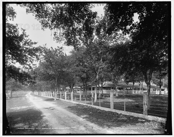 Seashore Camp Grounds, Biloxi, Miss., c1900. Creator: Unknown.