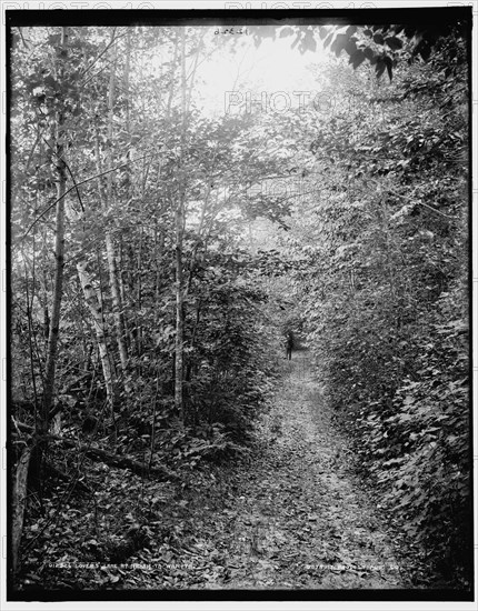 Lovers lane at Ne-ah-ta-wan-ta, between 1890 and 1901. Creator: Unknown.