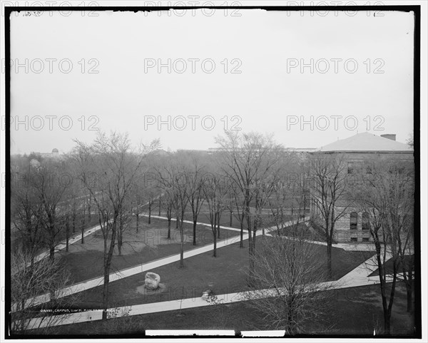 Campus, U. of M., Ann Arbor, Mich., between 1900 and 1915. Creator: Unknown.