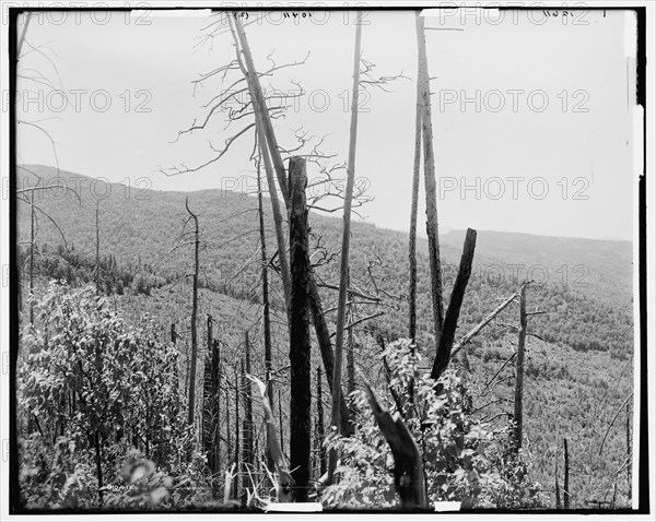 Zealand Valley from Mt. Echo, White Mountains, c1900. Creator: Unknown.