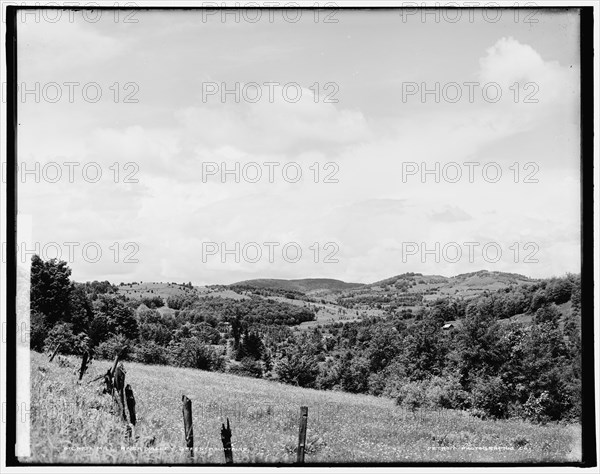 Mill River Valley, Green Mountains, between 1900 and 1906. Creator: Unknown.