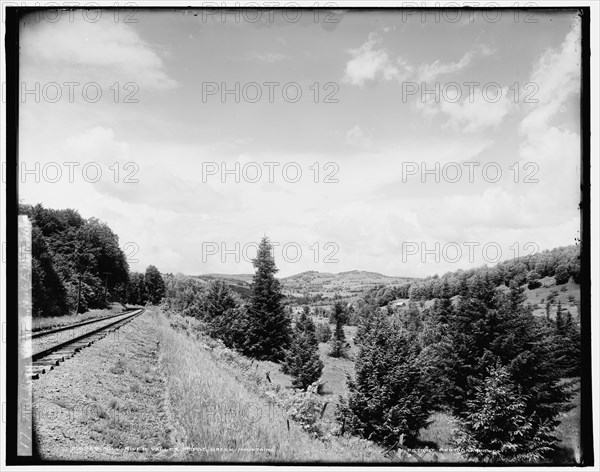 Mill River Valley bridge, Green Mountains, between 1900 and 1906. Creator: Unknown.